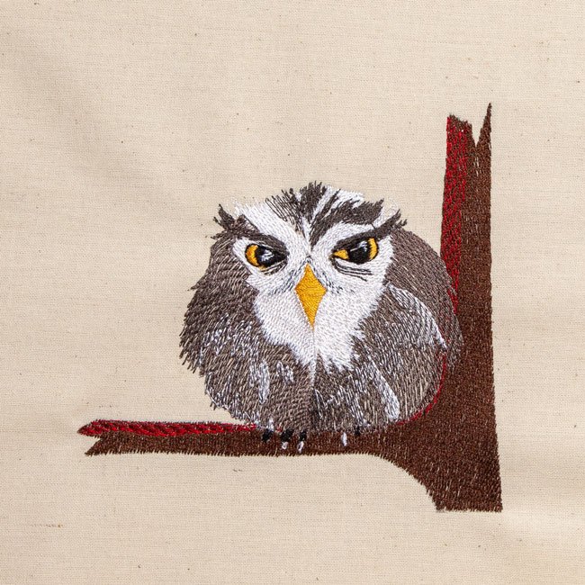 BFC1828   Owl Variety