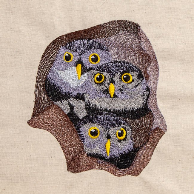 BFC1828   Owl Variety