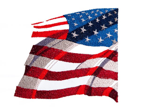 BFC1833 Large Eagle Portrait with American Flag