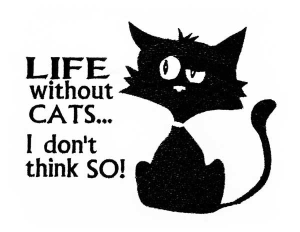 BFC1851 Cat Quote Fun Set