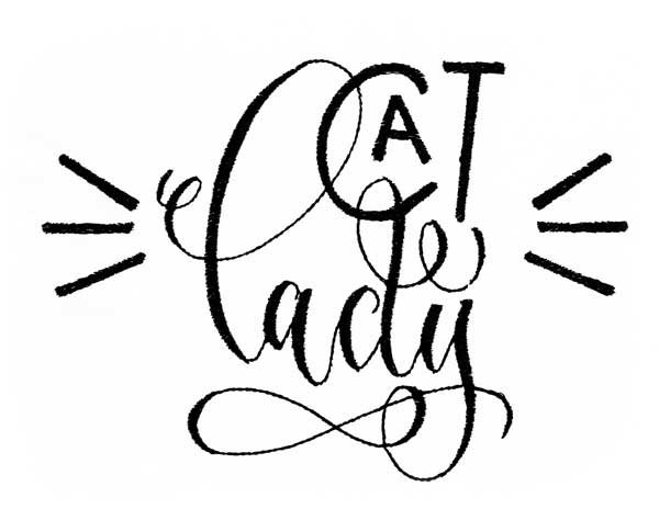 BFC1851 Cat Quote Fun Set
