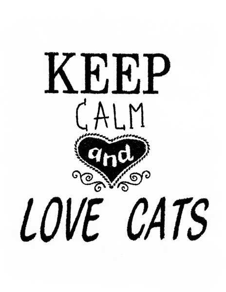 BFC1851 Cat Quote Fun Set