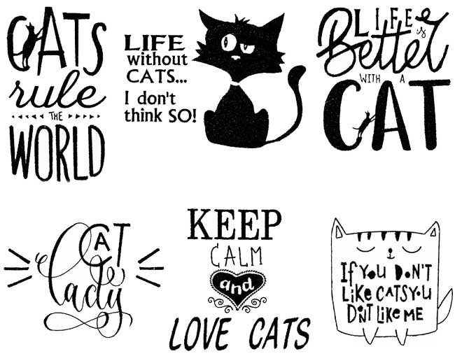 BFC1851 Cat Quote Fun Set