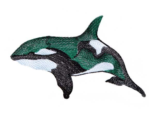 BFC1857 Scenic Whales