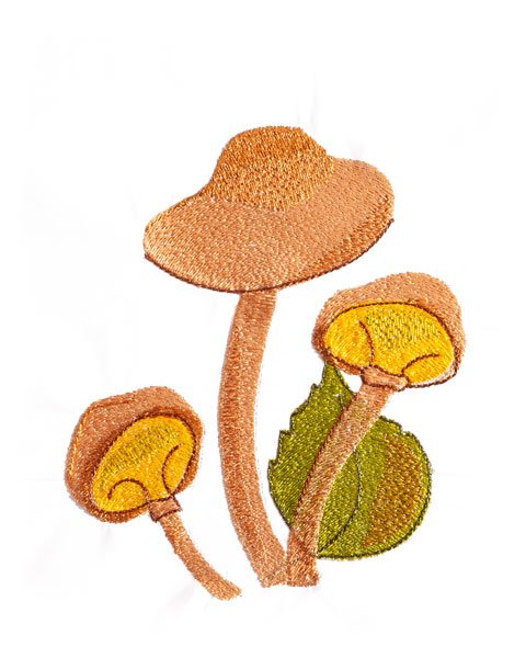 BFC1867 Mushrooms with a Touch of Fall