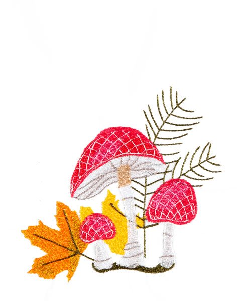 BFC1867 Mushrooms with a Touch of Fall
