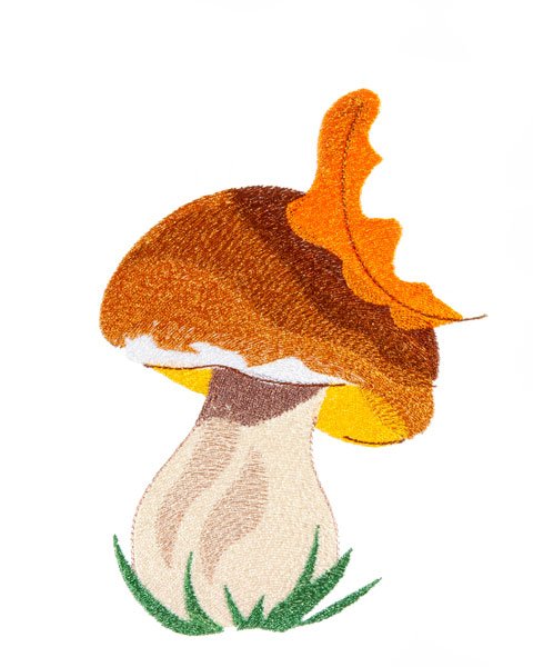 BFC1867 Mushrooms with a Touch of Fall