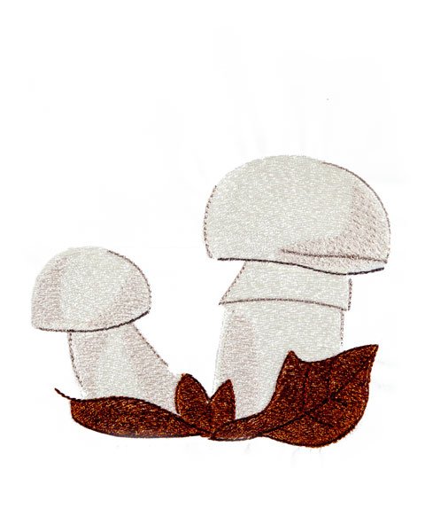 BFC1867 Mushrooms with a Touch of Fall