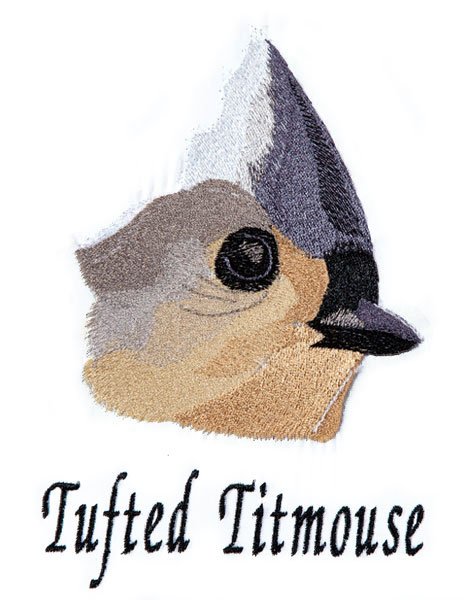 BFC1868 Backyard Bird Portraits