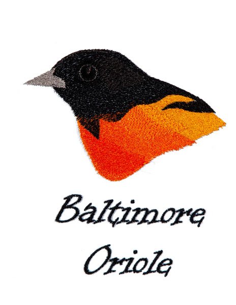 BFC1868 Backyard Bird Portraits