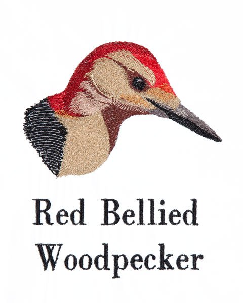 BFC1868 Backyard Bird Portraits