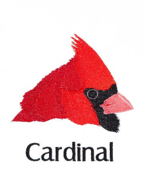 BFC1868 Backyard Bird Portraits