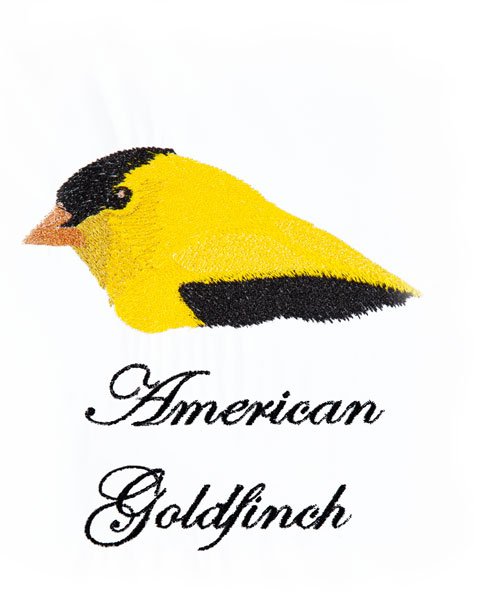 BFC1868 Backyard Bird Portraits
