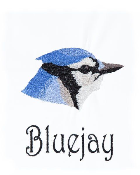 BFC1868 Backyard Bird Portraits