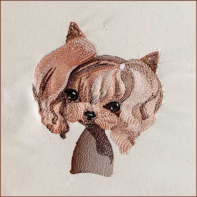 BFC1883 Pretty, Pretty Yorkies!