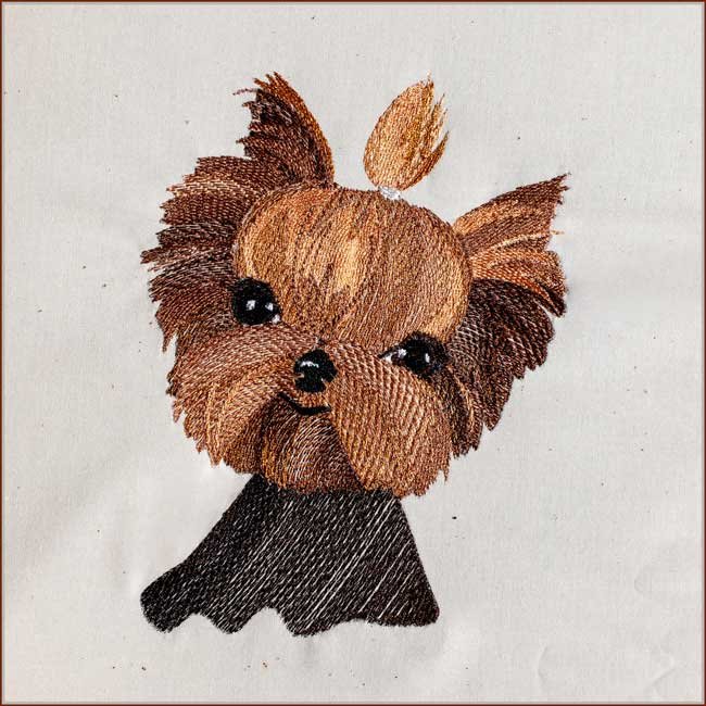 BFC1883 Pretty, Pretty Yorkies!