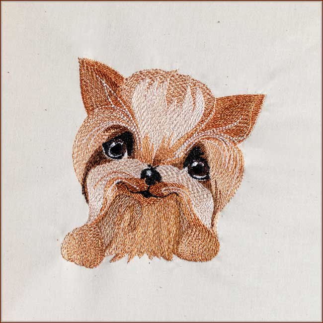 BFC1883 Pretty, Pretty Yorkies!
