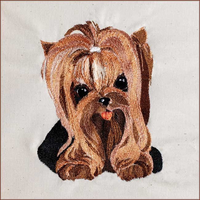 BFC1883 Pretty, Pretty Yorkies!