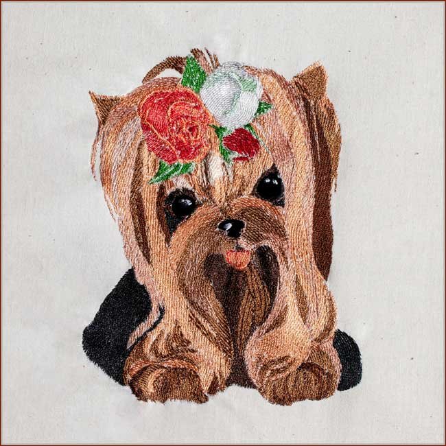 BFC1883 Pretty, Pretty Yorkies!