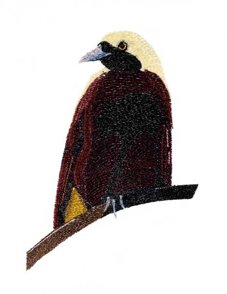 BFC1888 Large Bird of Paradise