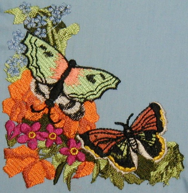 BFC0166C Victorian Butterfly Frame