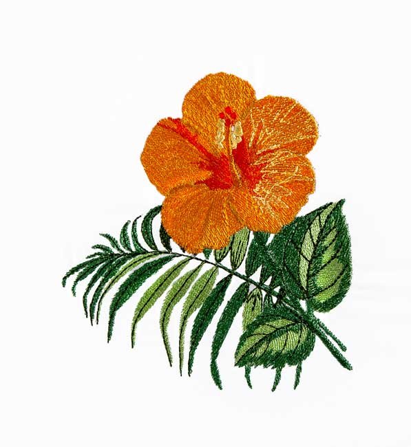 BFC1912  Fun with the Tropics