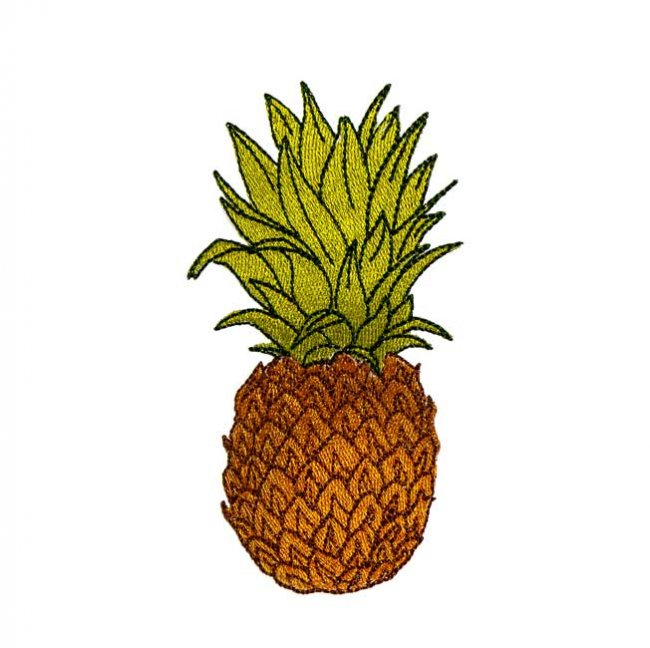 BFC1912  Fun with the Tropics