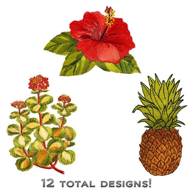 BFC1912  Fun with the Tropics