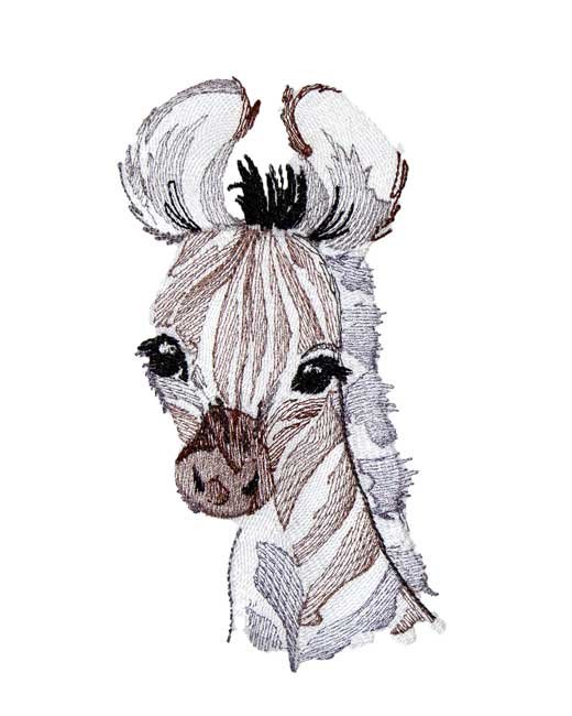 BFC1916 Baby Animals of Africa
