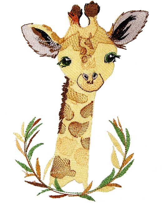 BFC1916 Baby Animals of Africa