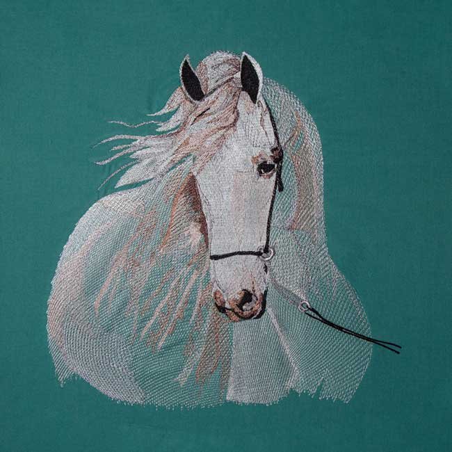 BFC1917 Large Andalusian in the Wind