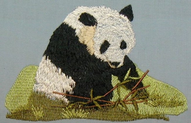 BFC0194 Pandas of the Orient