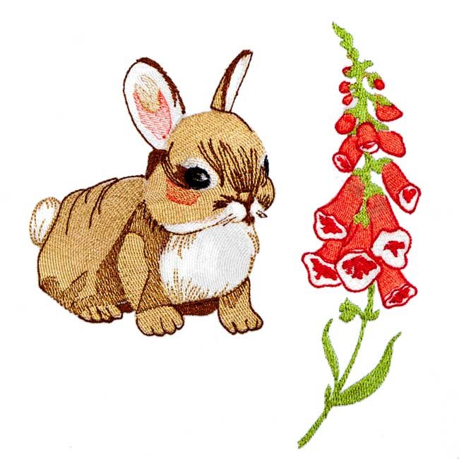 BFC1955 Animal Babies of the Forest