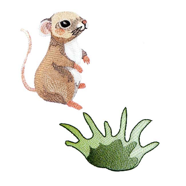 BFC1955 Animal Babies of the Forest