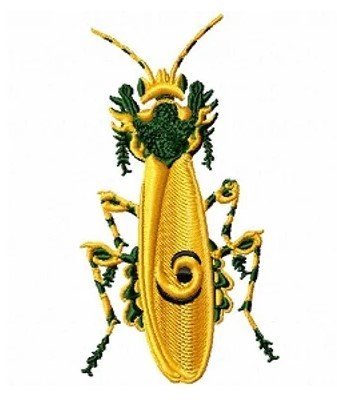 RMG196 African Mantis
