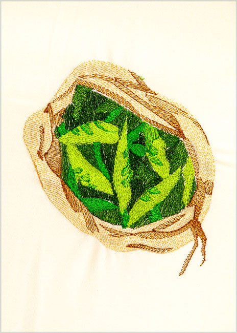 BFC1971 Kitchen Series - Veggies