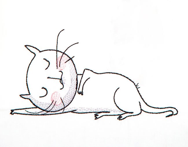 BFC1974 Cute Cats
