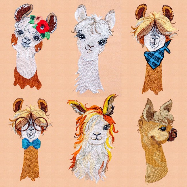 BFC1975 Ooh La Llama