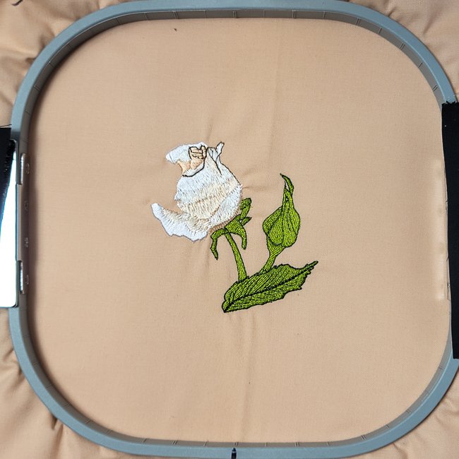 BFC1988 White Satin Roses