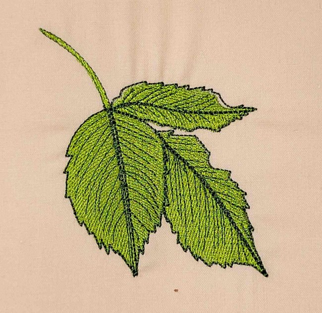 3 Leaves