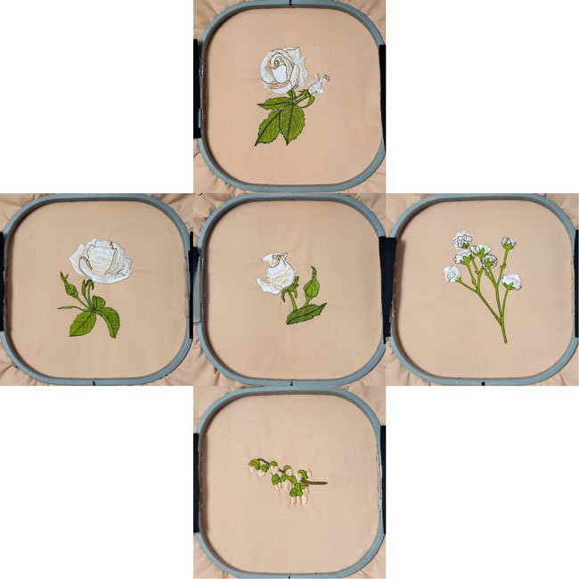 BFC1988 White Satin Roses
