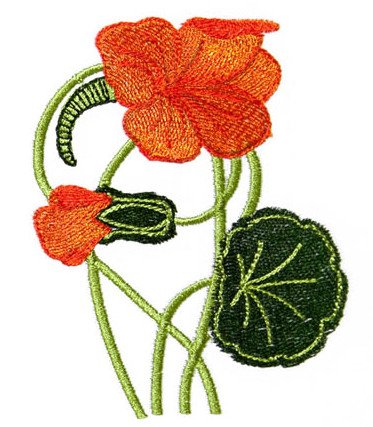 Art Nouveau Medium Nasturtium