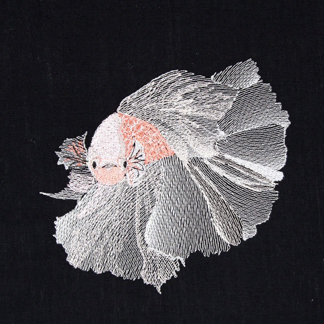 BFC2019 Siamese Fighting Fish
