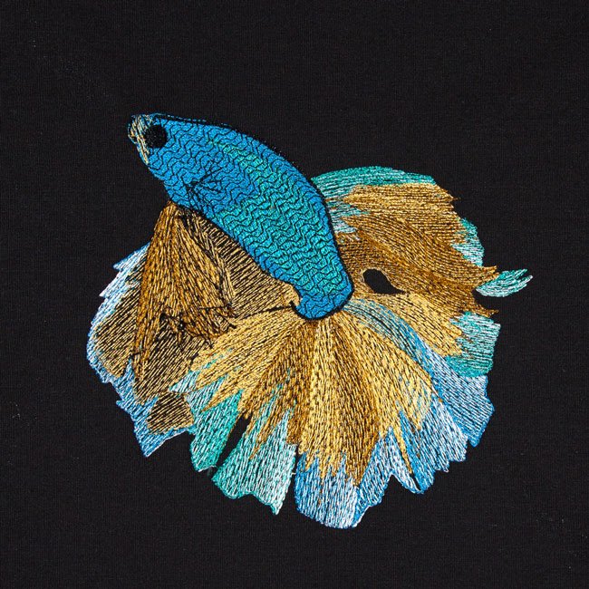 BFC2019 Siamese Fighting Fish