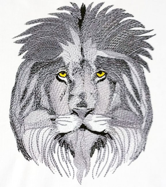 BFC31982 The Patriarch of the Pride