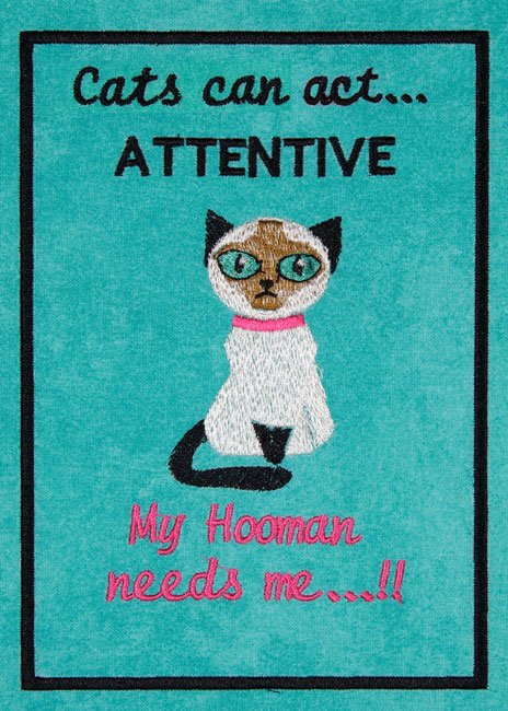BFC2024 Cats are...