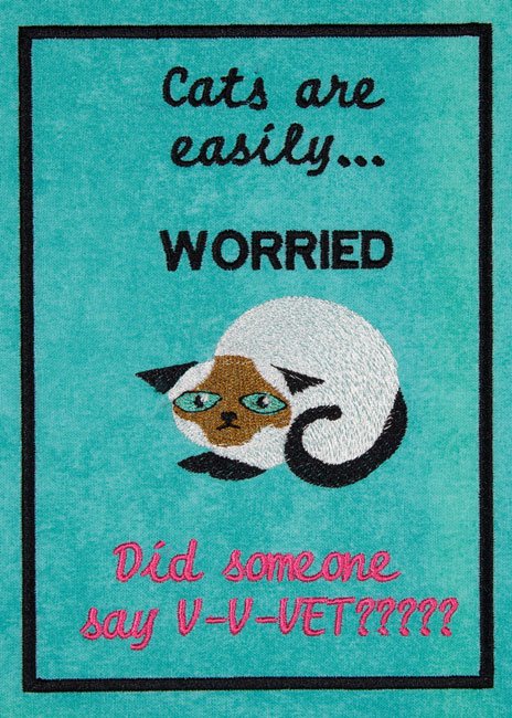 BFC2024 Cats are...