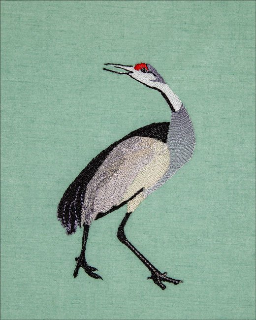 BFC2044 Equatorial Guinea Birds and Grasses