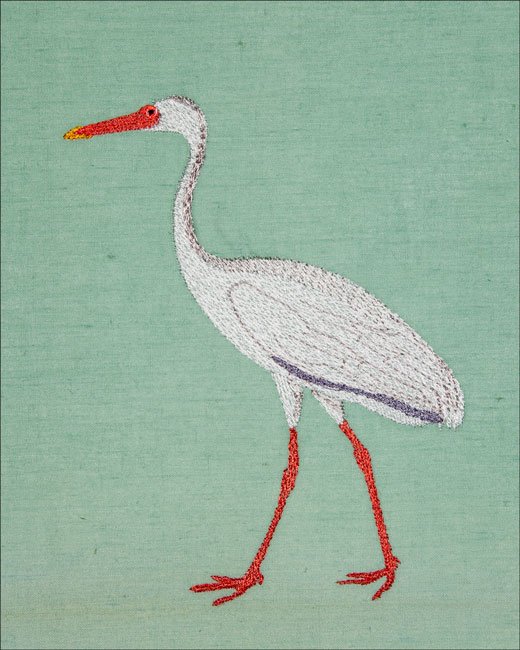 BFC2044 Equatorial Guinea Birds and Grasses