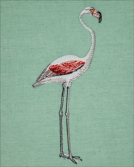 BFC2044 Equatorial Guinea Birds and Grasses